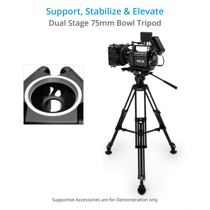 Proaim Gravita 75mm Camera Tripod Stand for Prof. Videomakers & Photographers